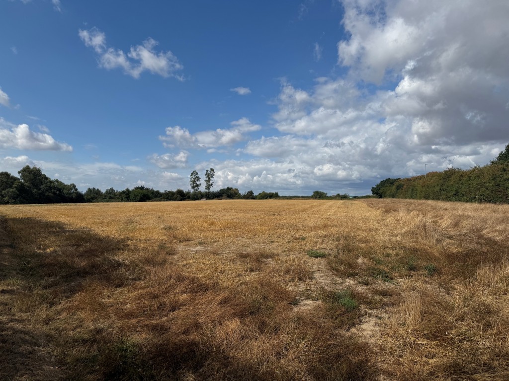 Lot: 61 - APPROXIMATELY FOUR AND A HALF ACRES - View of the land 2